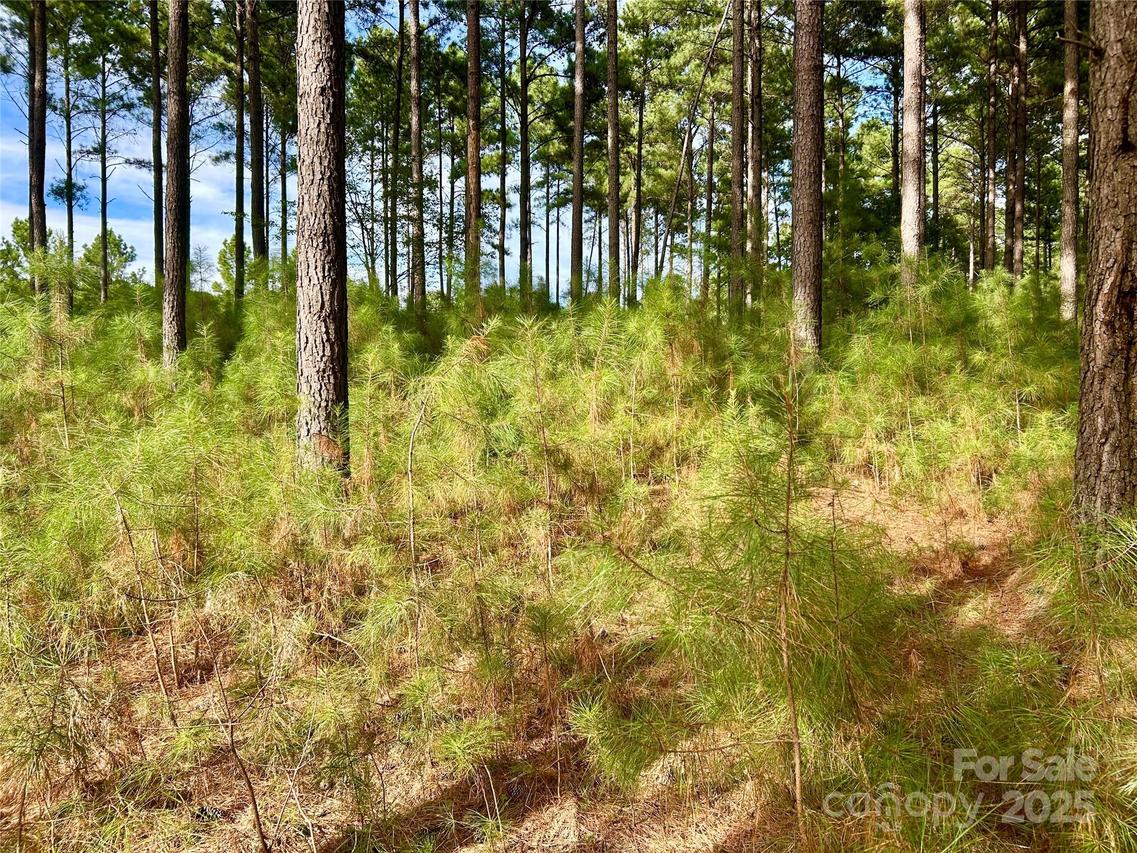 224 Plantation Way, Mount Gilead, NC 27306