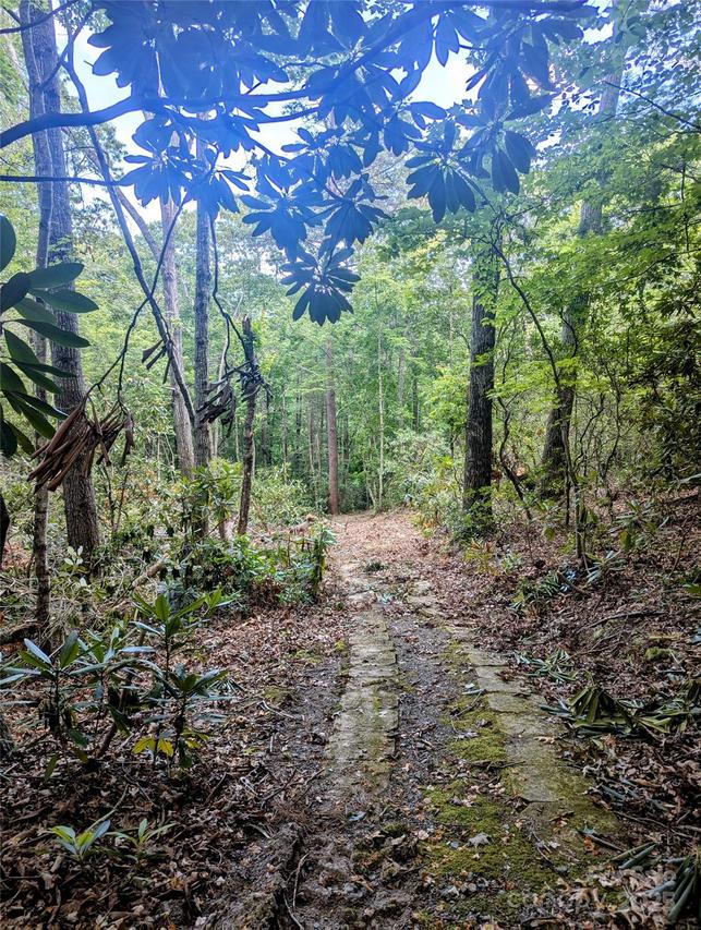 99999 Richard Ln., Black Mountain, NC 28711