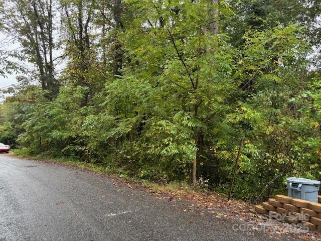 White Dogwood Ln., Lake Junaluska, NC 28786