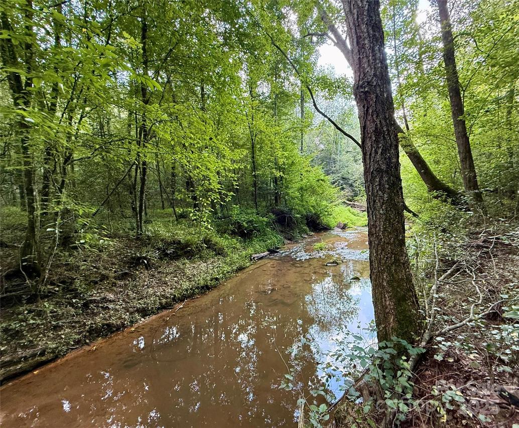 000 Old Landfill Rd., Taylorsville, NC 28681