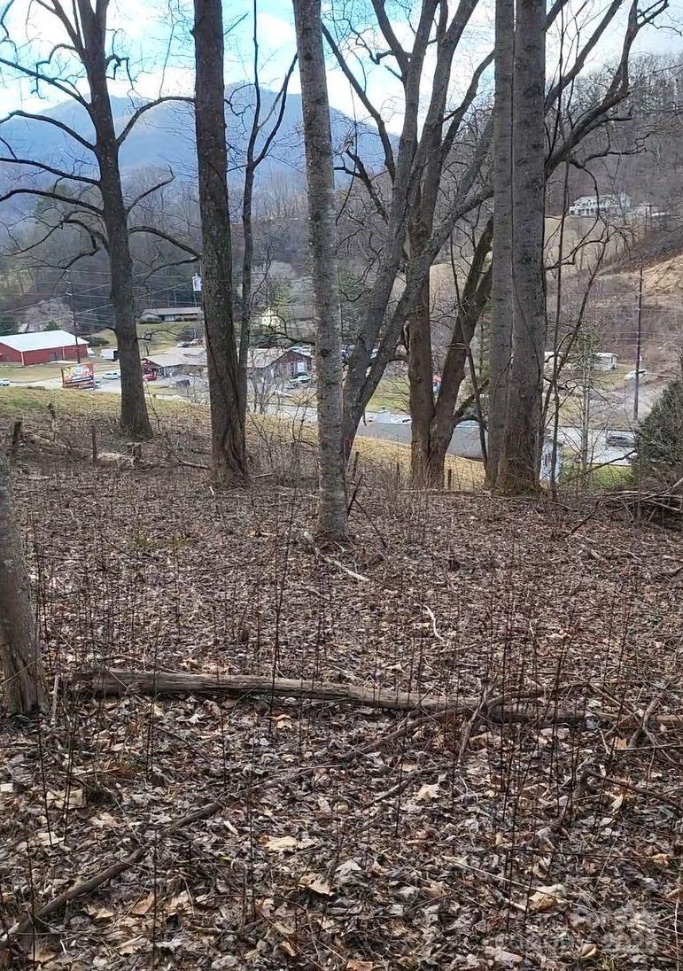 3009 Dellwood Rd., Waynesville, NC 28786