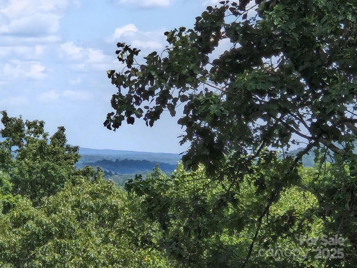 Lot 34 Hawks Nest Tr., Lake Lure, NC 28746