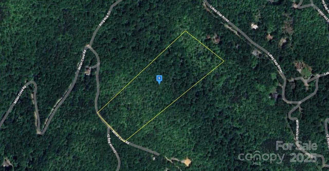 215 Miller Cove Rd., Black Mountain, NC 28711