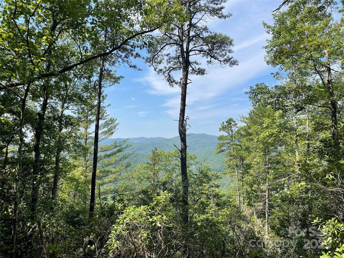 TBD Morgan Dr. #Tract II, Penrose, NC 28766