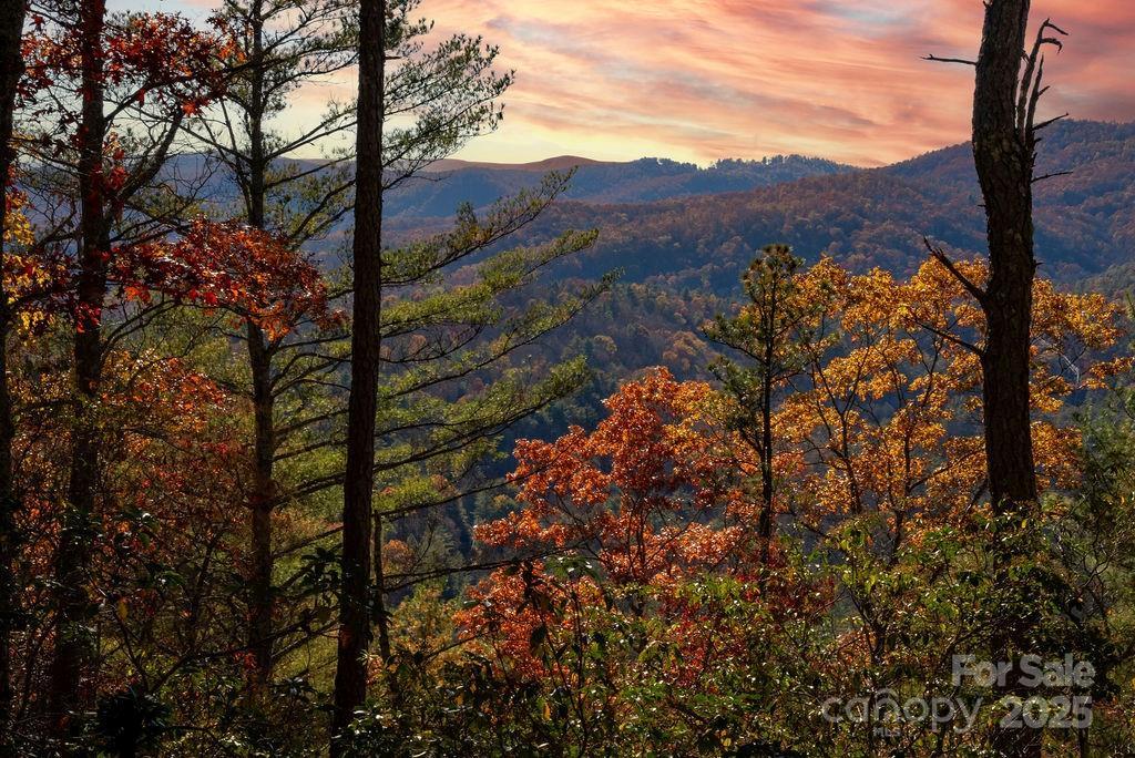 TBD Morgan Dr. #Tract II, Penrose, NC 28766