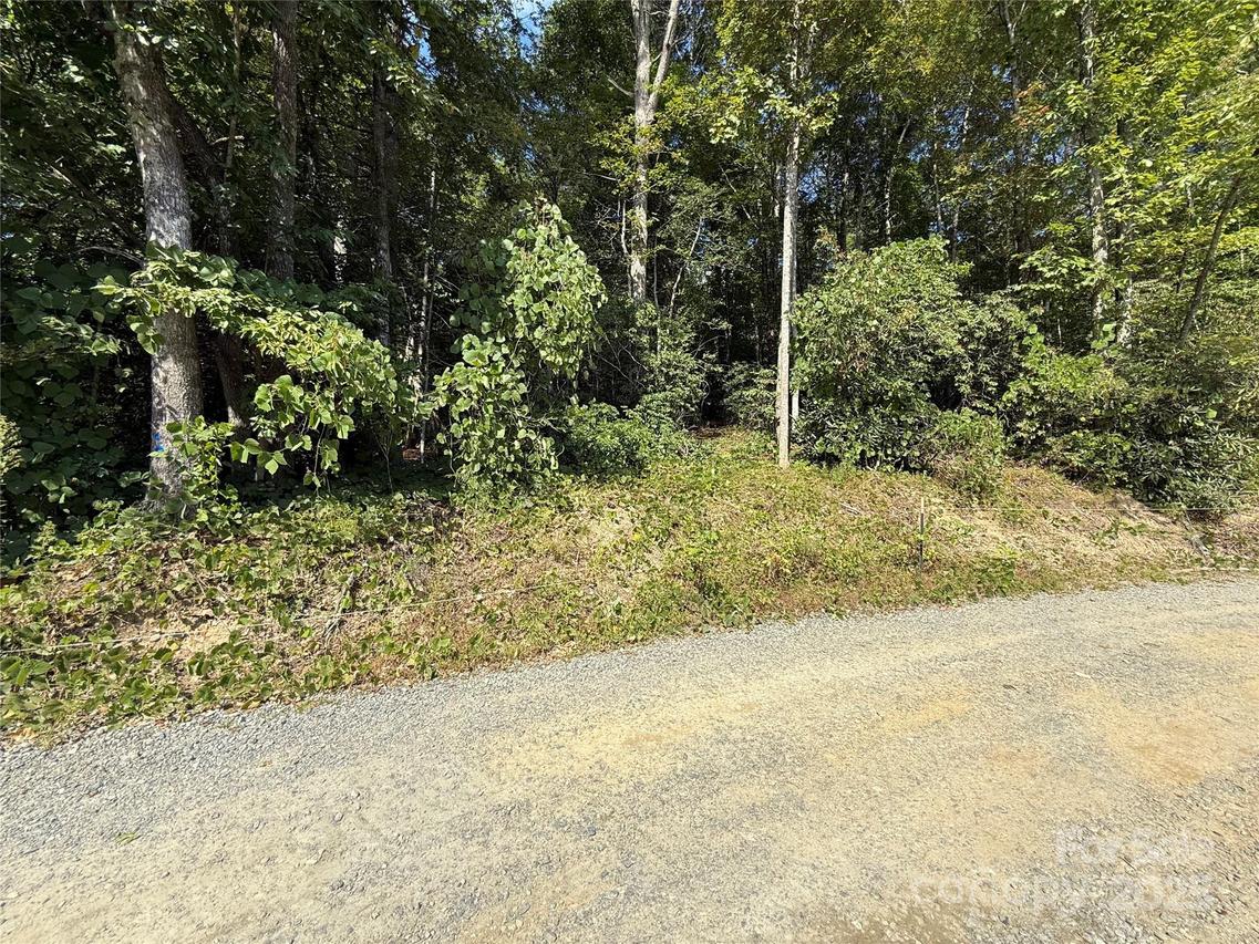V/L Bulling Creek Rd., Hendersonville, NC 28739