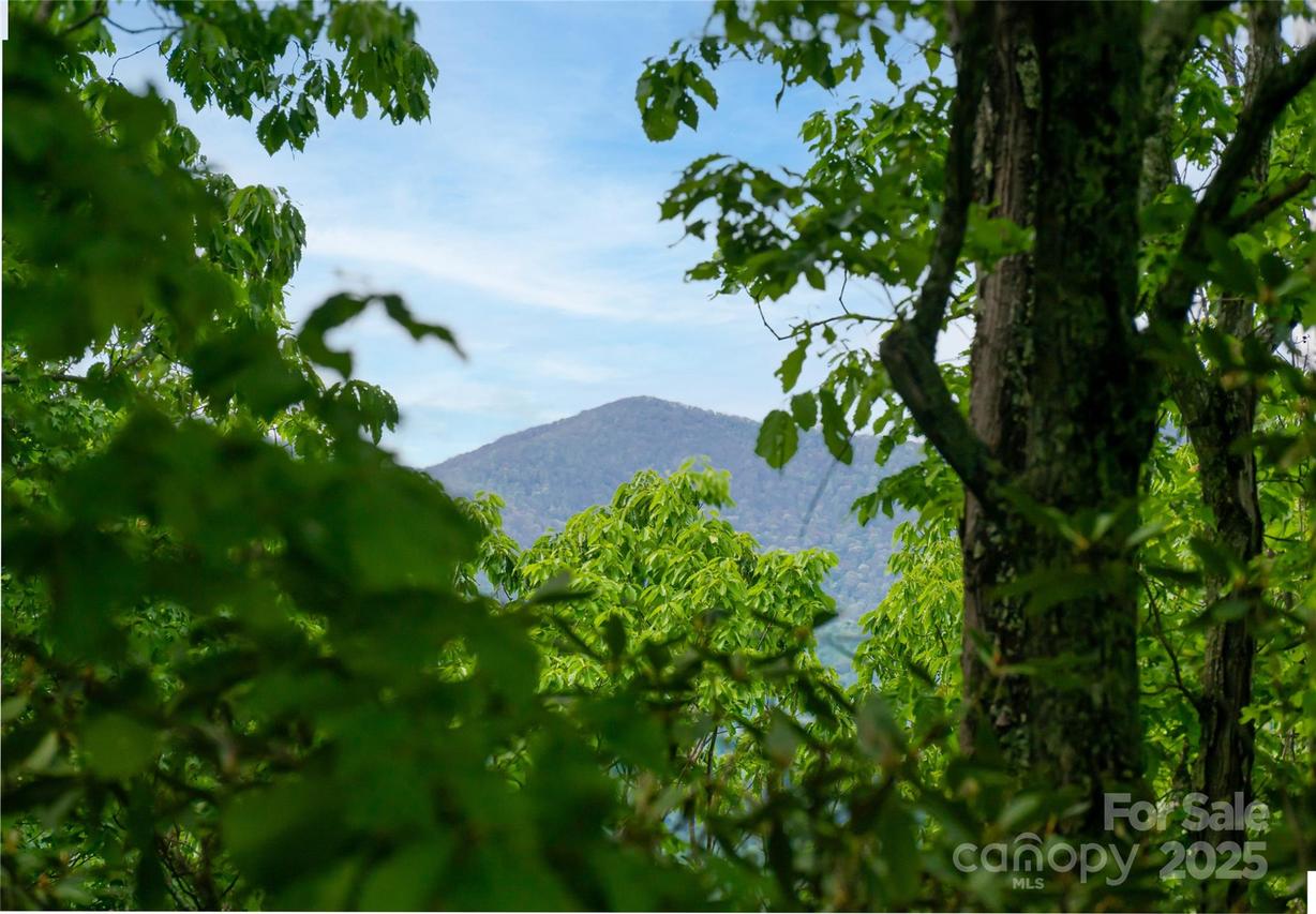 1111 Elm Tree Ln., Swannanoa, NC 28778