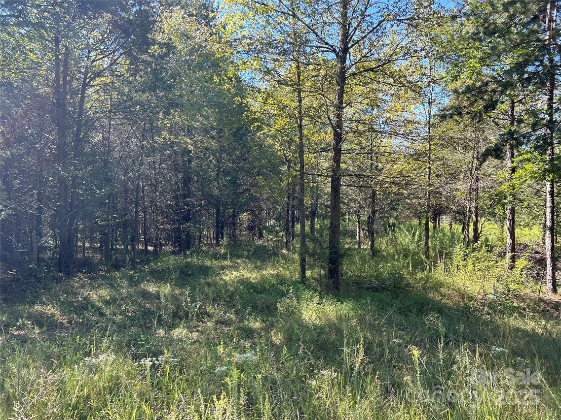 200 Bramblewood Ln., Mocksville, NC 27028