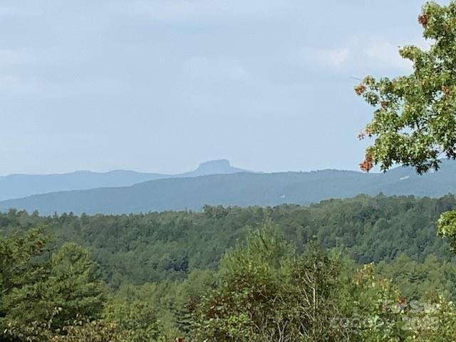 1318 Whispering Pines Ct. #354, Lenoir, NC 28645