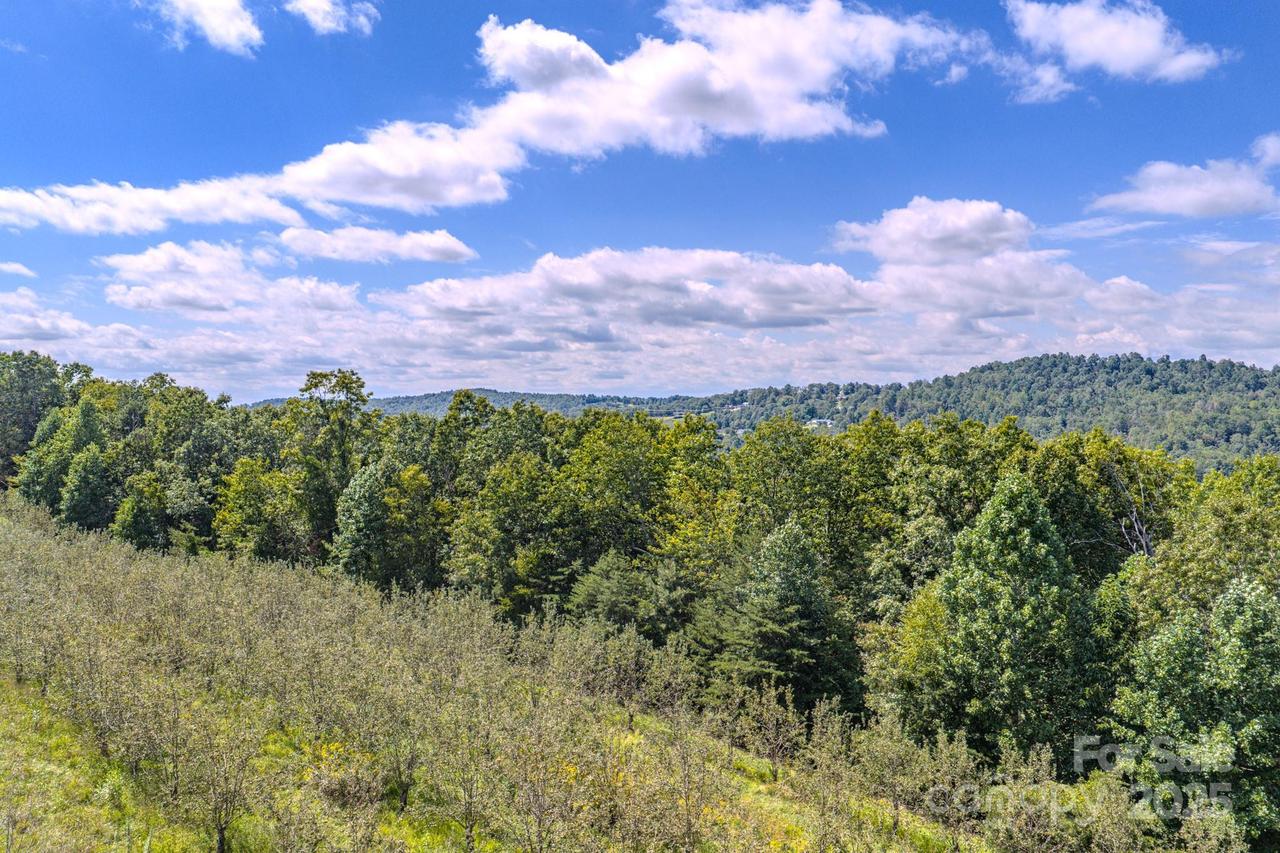 99999 Summer Rd., Hendersonville, NC 28792