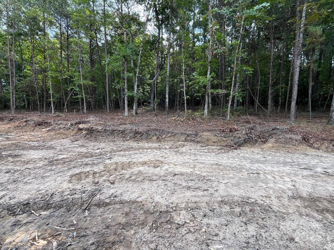 V/L W V Thompson Rd. #3, Rutherfordton, NC 28139