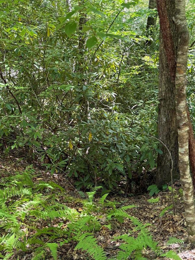 Lot 4 Rosewood Ln., Burnsville, NC 28714