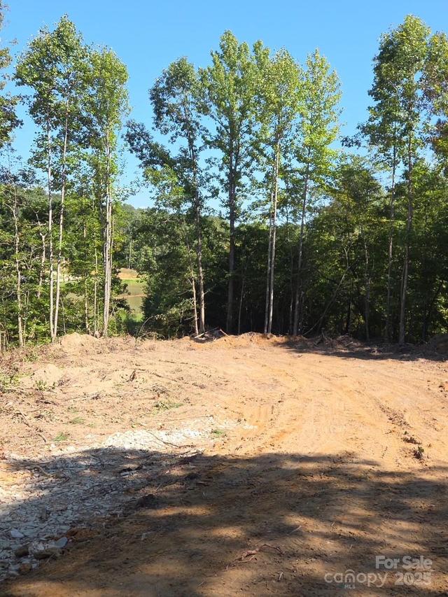 V/L W V Thompson Rd. #4, Rutherfordton, NC 28139