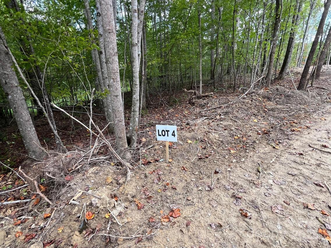 V/L W V Thompson Rd. #4, Rutherfordton, NC 28139