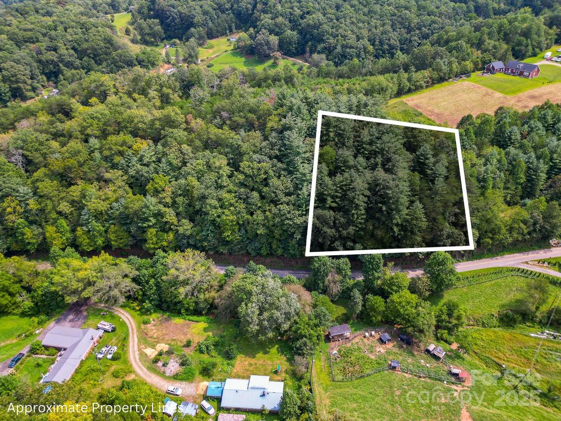 99999 Morgan Cove Rd., Candler, NC 28715
