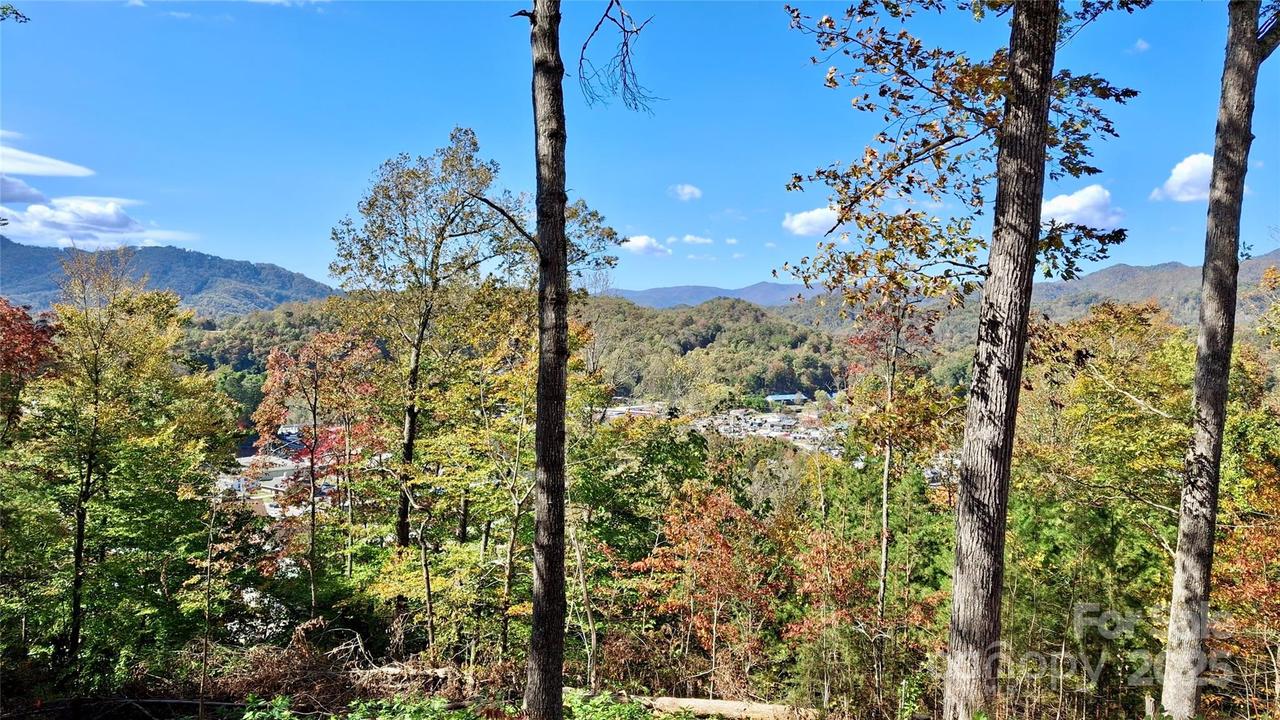 81 Bacon Dr. #2, Bryson City, NC 28713
