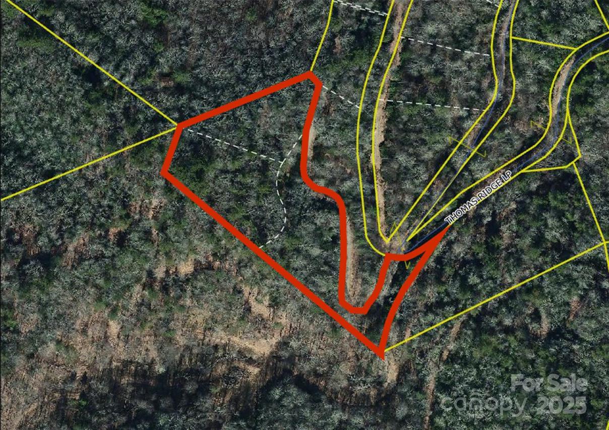0000 Thomas Ridge Loop, Green Mountain, NC 28740