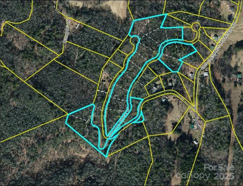0000 Thomas Ridge Loop, Green Mountain, NC 28740