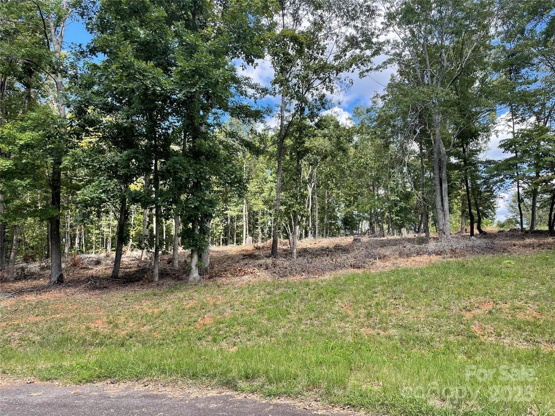 00 Carriage Dr., Rutherfordton, NC 28139