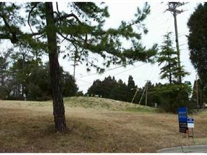 Blueberry Ln., Charlotte, NC 28226