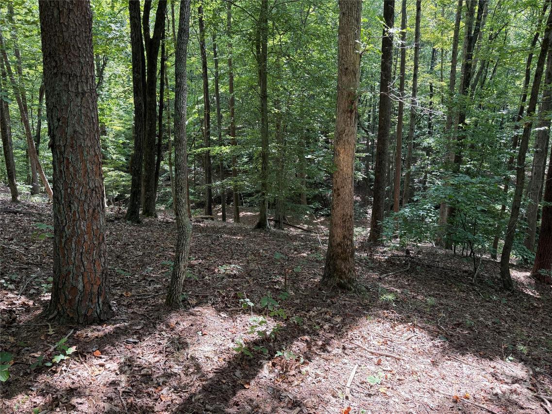 Mountain Brook Tr. #298, Nebo, NC 28761