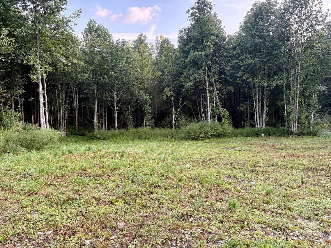 Campbell Creek Rd., Robbinsville, NC 28771