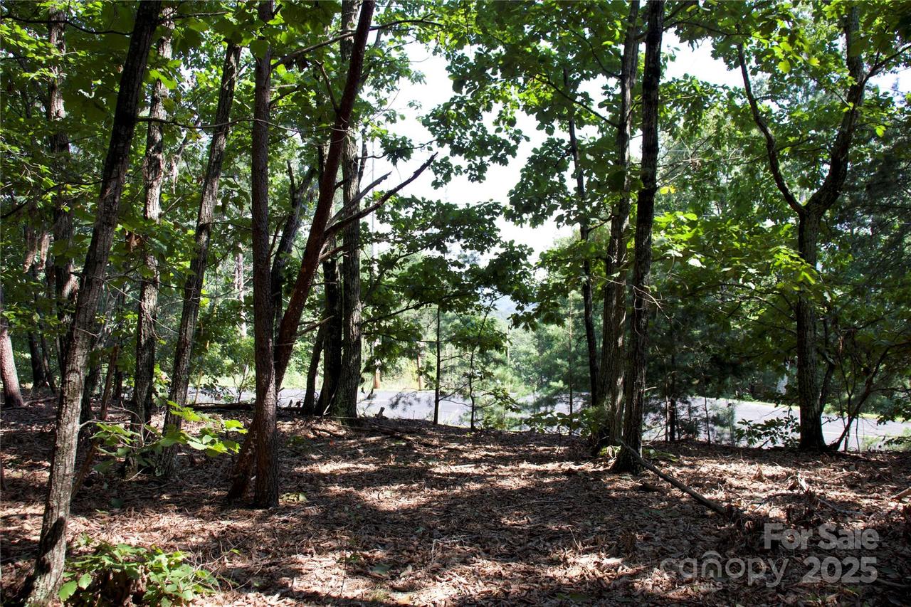 Mountain Lookout Dr. #35, Bostic, NC 28018
