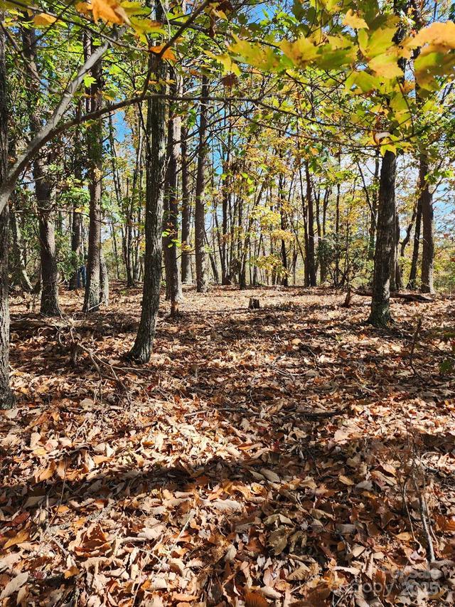 Mountain Lookout Dr. #35, Bostic, NC 28018