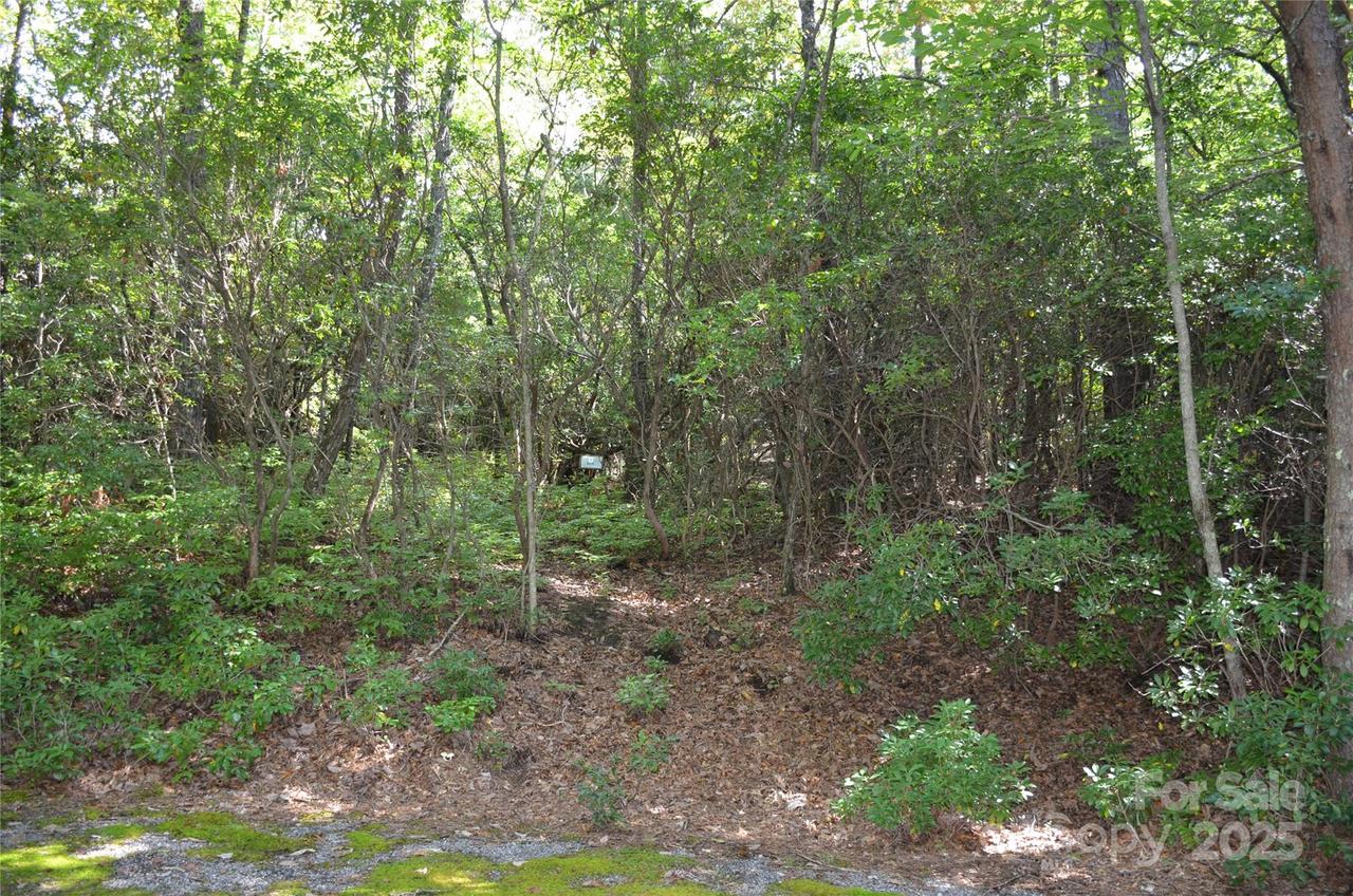 Lot 9 Galax Ln. #9, Brevard, NC 28712