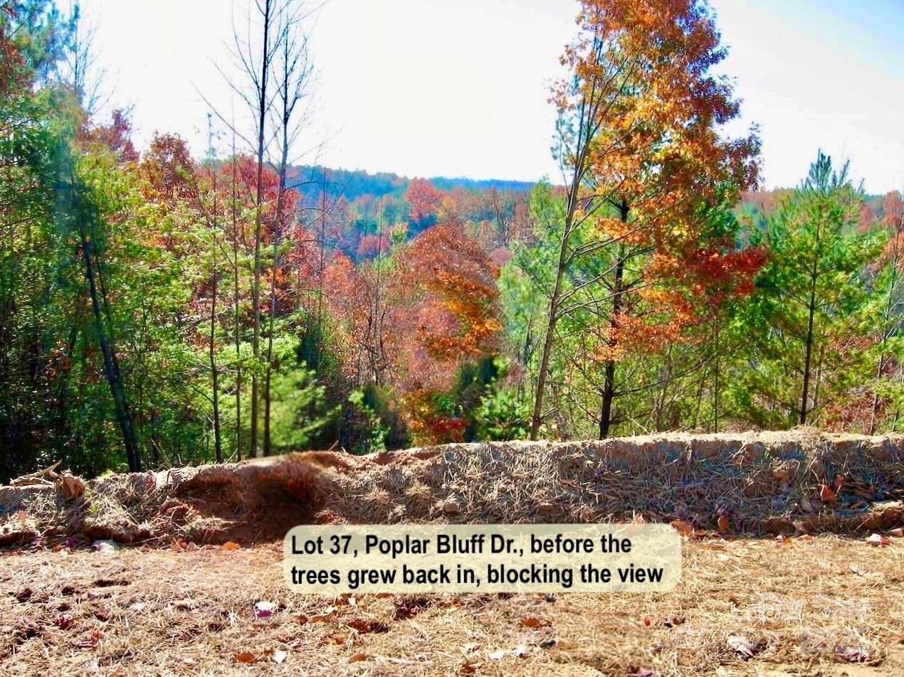 3.31 acres, Lot 37 Poplar Bluff Dr. #37, Lenoir, NC 28645