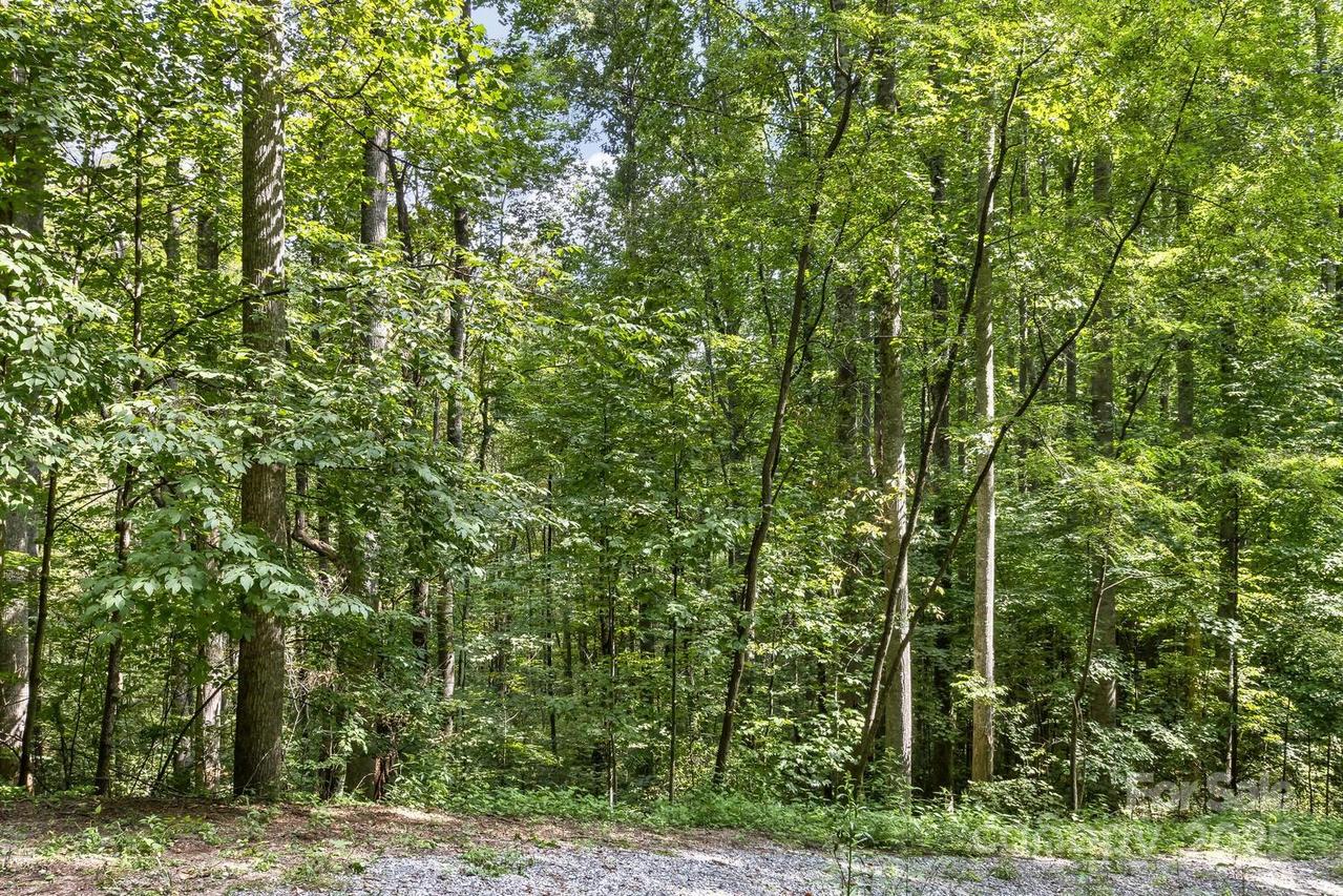 9999 Flowing Brook Ln. #5, Waynesville, NC 28786