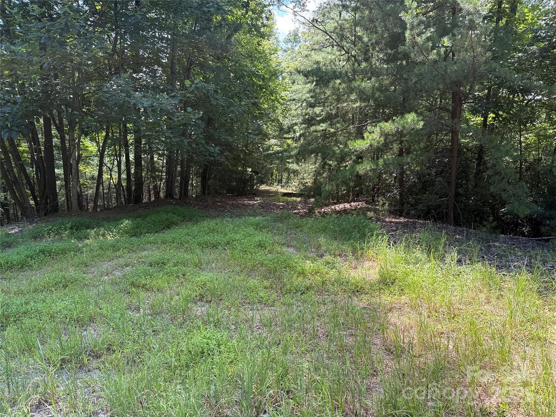 TBD Hickory Hollow Rd. #102 & 103, Purlear, NC 28665