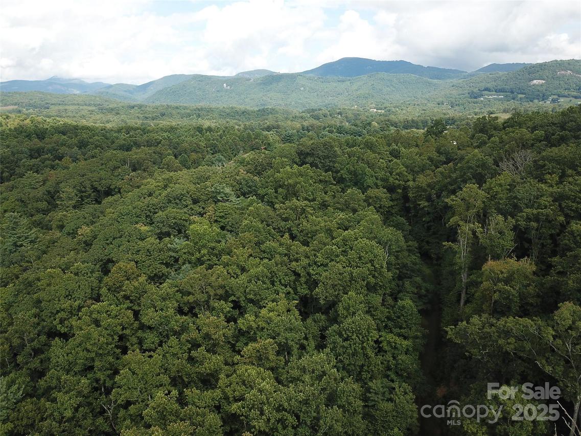 7 Pounding Mill None, Hendersonville, NC 28792