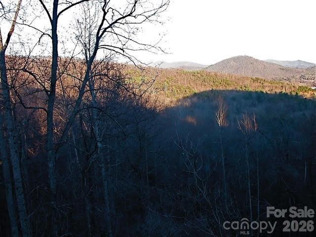 52 Hope View Rd., Swannanoa, NC 28778