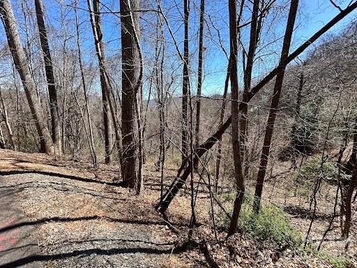 52 Hope View Rd., Swannanoa, NC 28778