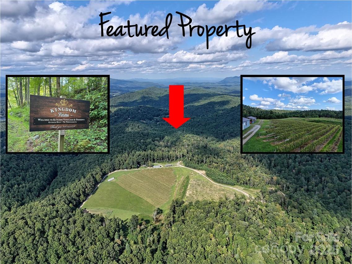 781 Payne Dr., Zirconia, NC 28790