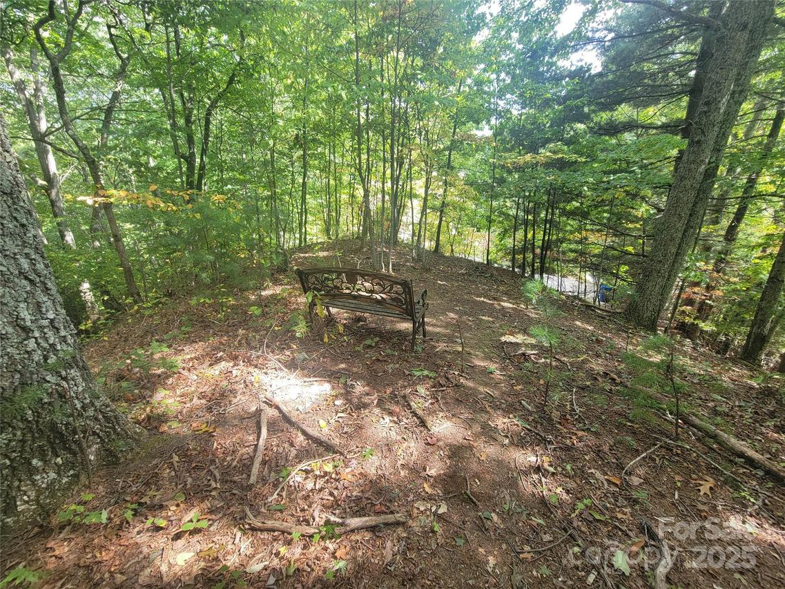 Pinewood Dr. #5, Waynesville, NC 28786