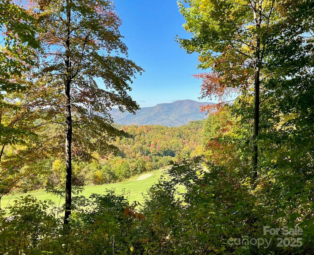 1781 High Line Rd. #63, Sylva, NC 28779