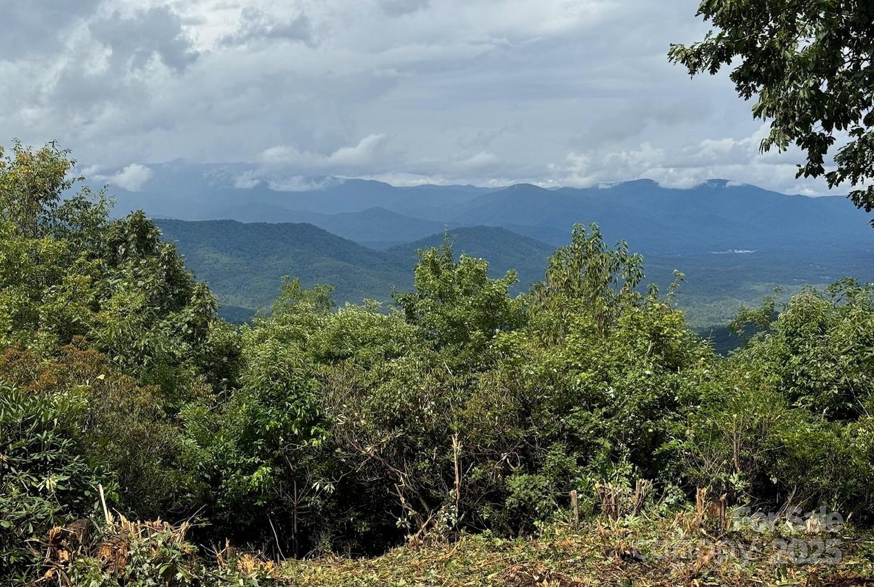 9999 Cliffledge Tr., Black Mountain, NC 28711