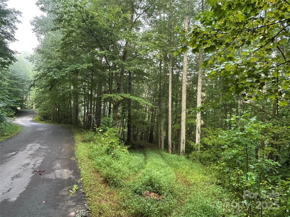 100 S Lindon Cove Rd. #35, 36, Candler, NC 28715