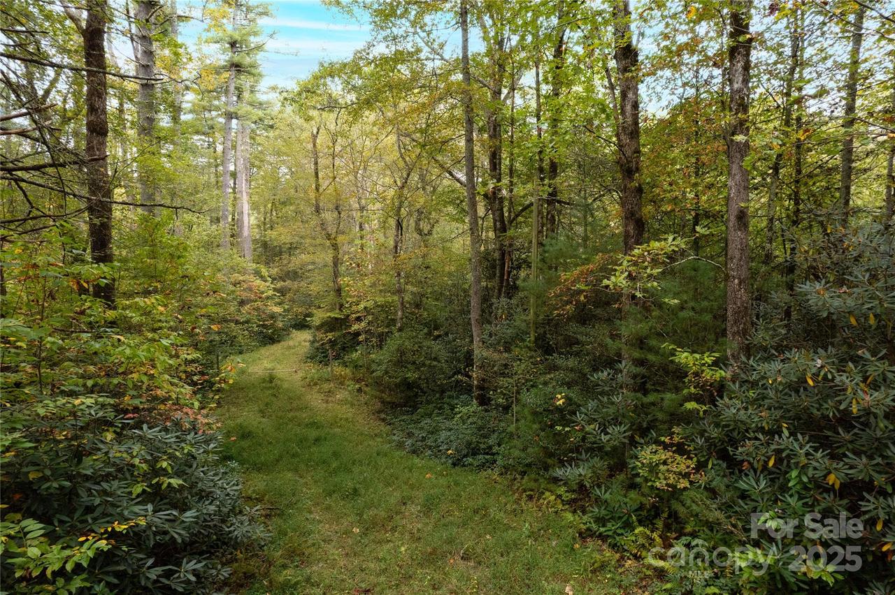 00 Beaumont Dr., Cedar Mountain, NC 28718