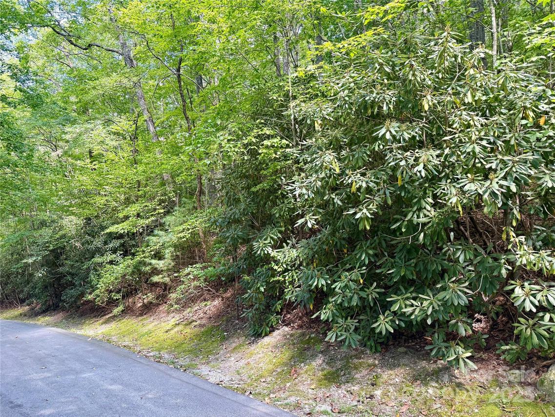 115 Black Oak Dr., Sapphire, NC 28774