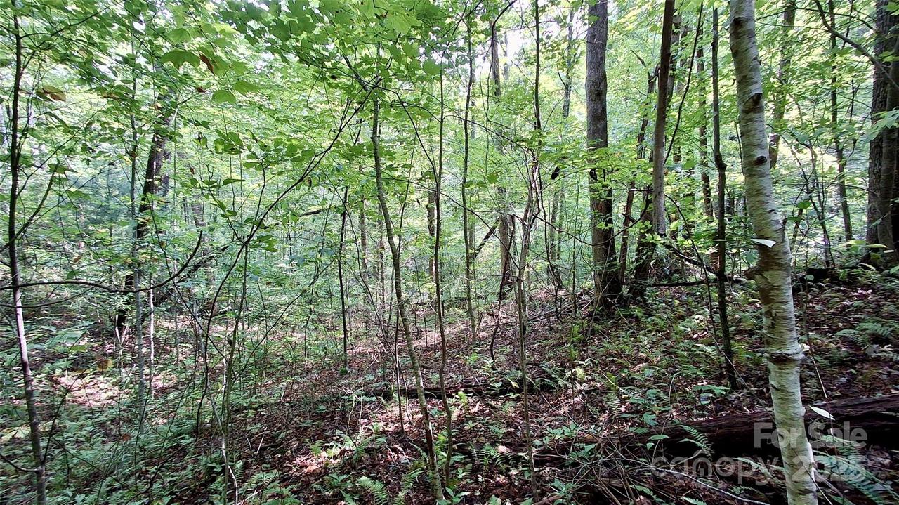 Cross Creek Cir., Sylva, NC 28779