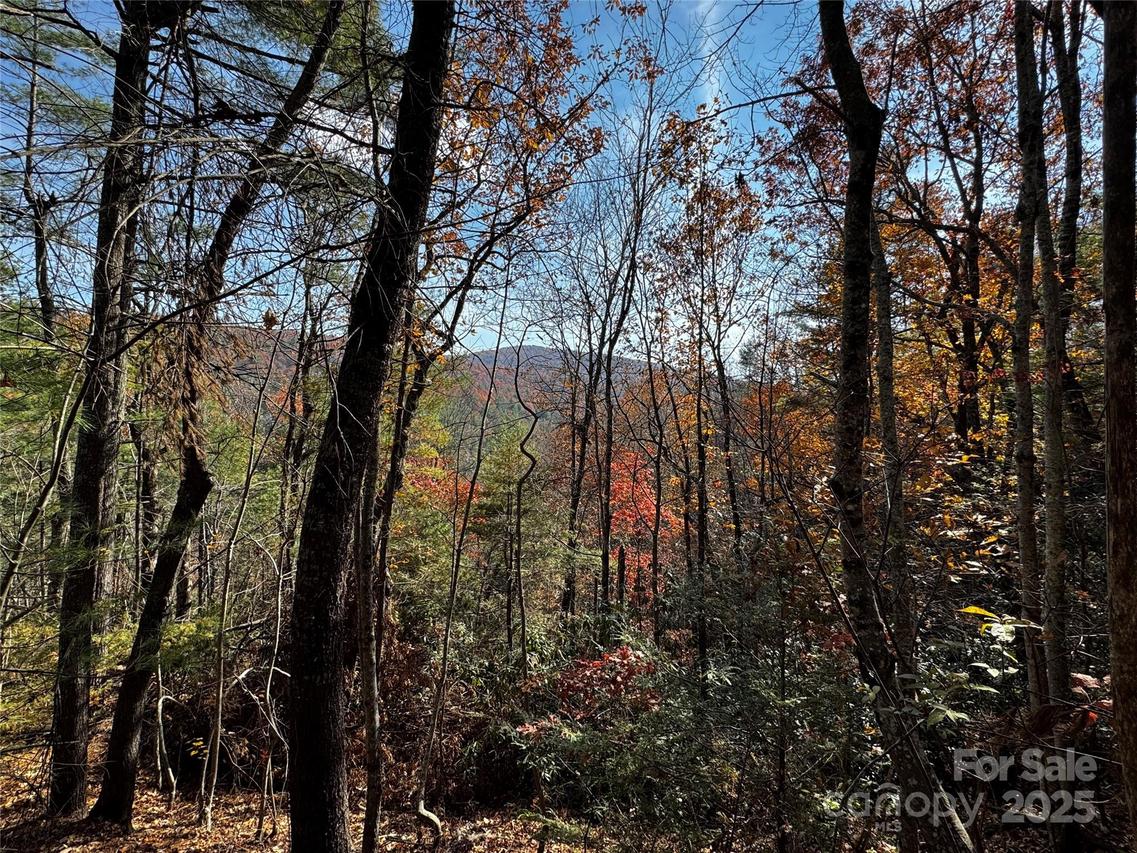 270 S Jarvis Dr., Hendersonville, NC 28792