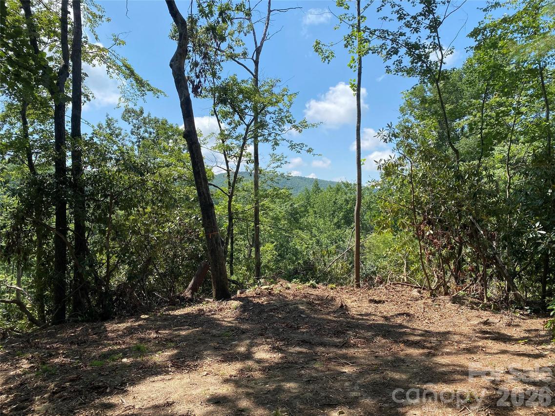 270 S Jarvis Dr., Hendersonville, NC 28792