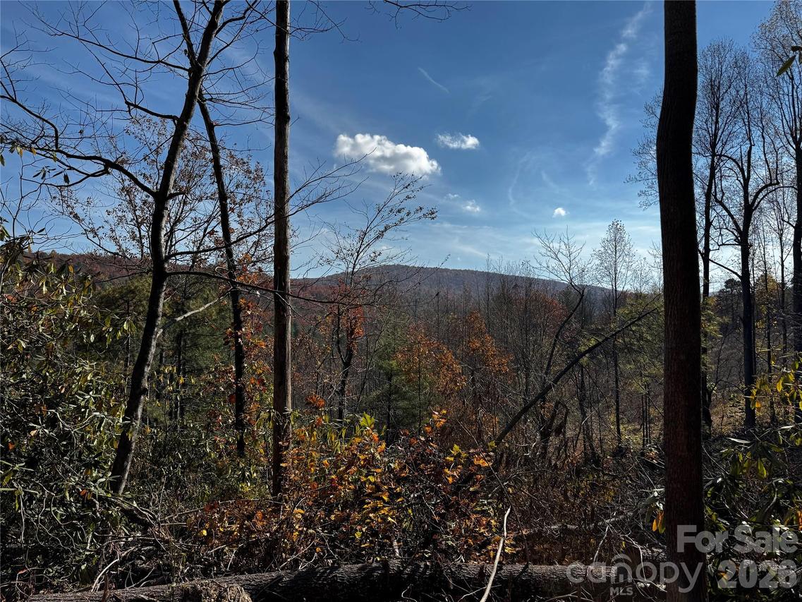 270 S Jarvis Dr., Hendersonville, NC 28792