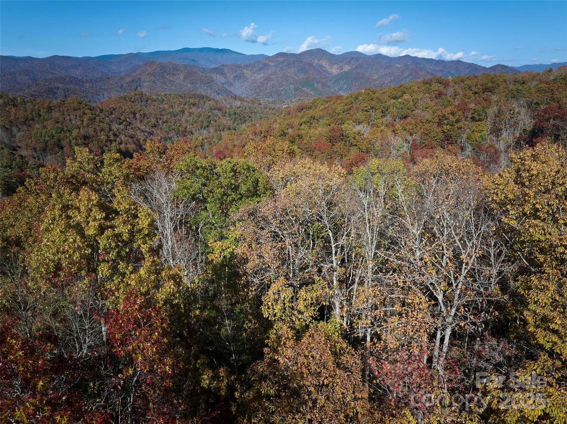 00 Black Forest Dr., Bryson City, NC 28713