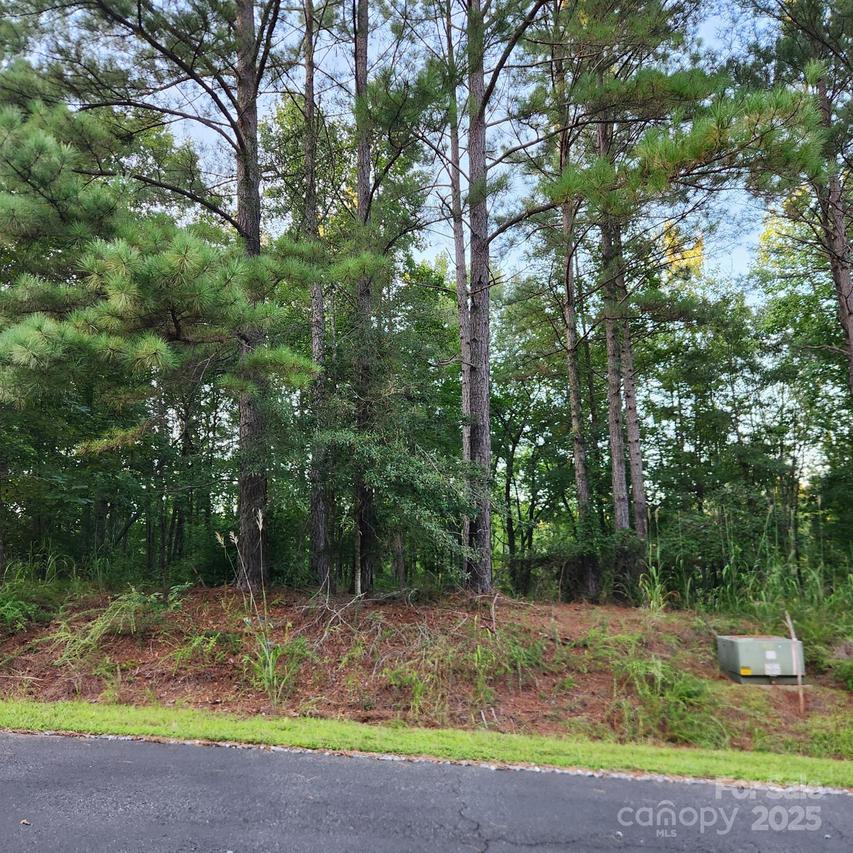 115 Scenic Ridge Dr., Mooresboro, NC 28114