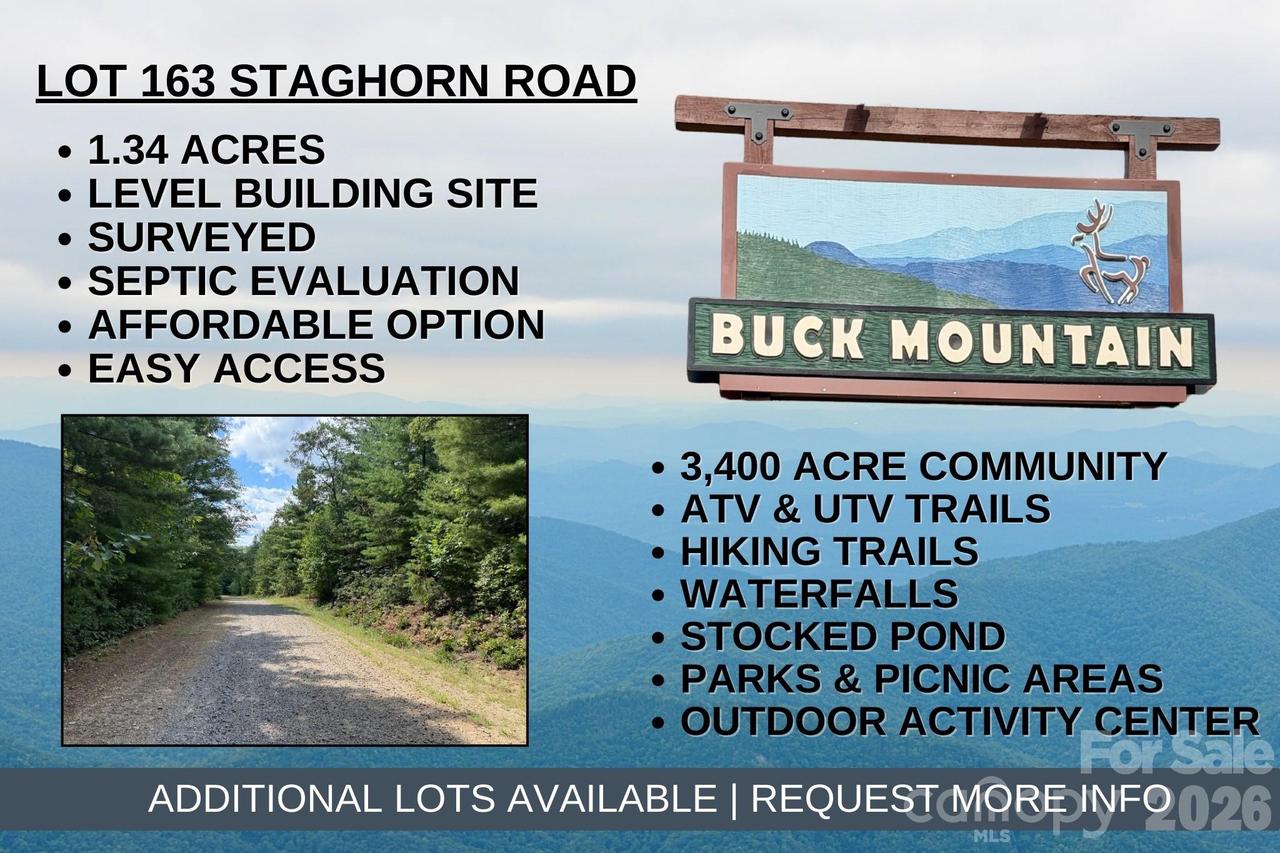 TBD Staghorn Rd. #163, Purlear, NC 28665