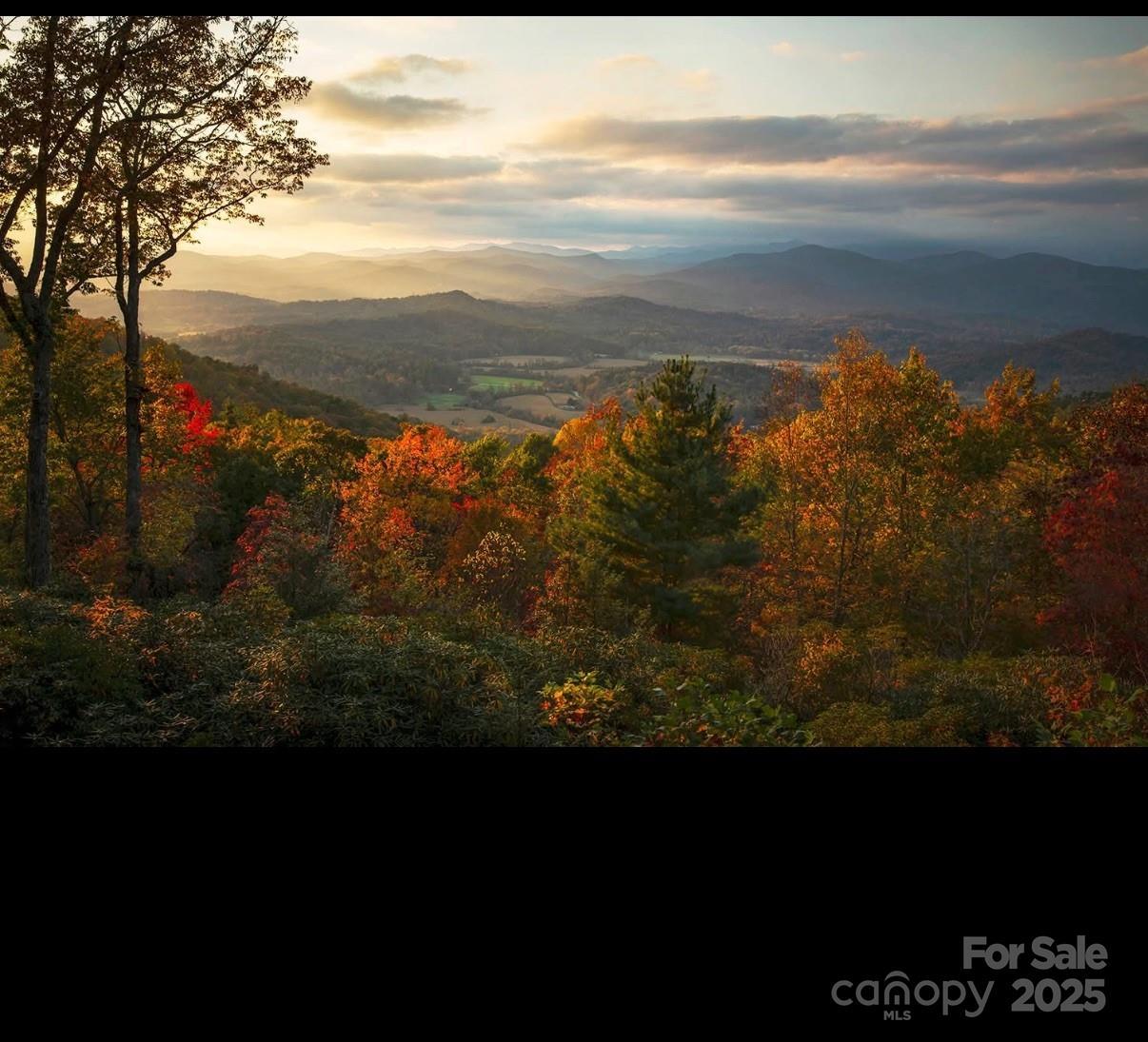 658 Johnson Rd., Brevard, NC 28712